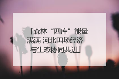 森林“四库”能量满满 河北围场经济与生态协同共进