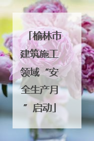 榆林市建筑施工领域“安全生产月”启动