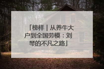榜样｜从养牛大户到全国劳模：刘琴的不凡之路