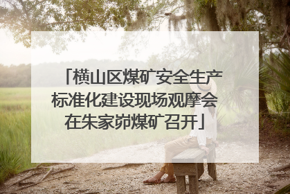 横山区煤矿安全生产标准化建设现场观摩会在朱家峁煤矿召开