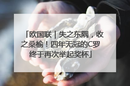 欧国联｜失之东隅，收之桑榆！四年无冠的C罗终于再次举起奖杯