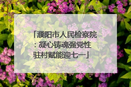 濮阳市人民检察院：凝心铸魂强党性 驻村赋能迎七一