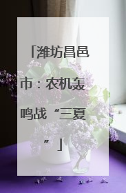 潍坊昌邑市：农机轰鸣战“三夏”