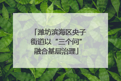 潍坊滨海区央子街道以“三个问”融合基层治理