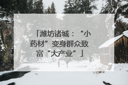 潍坊诸城：“小药材”变身群众致富“大产业”