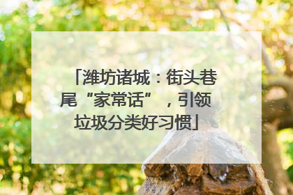潍坊诸城：街头巷尾“家常话”，引领垃圾分类好习惯