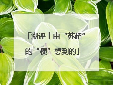 潮评丨由“苏超”的“梗”想到的