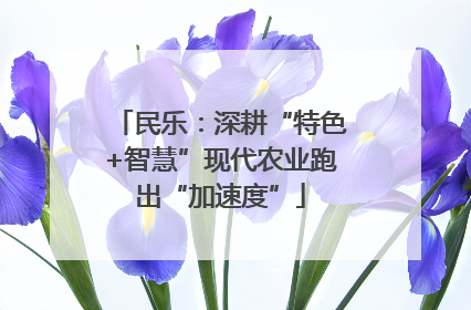 民乐：深耕“特色+智慧”现代农业跑出“加速度”