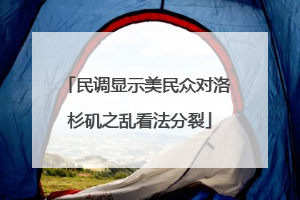 民调显示美民众对洛杉矶之乱看法分裂