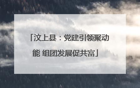 汶上县：党建引领聚动能 组团发展促共富