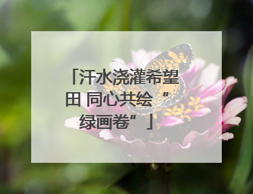 汗水浇灌希望田 同心共绘“绿画卷”