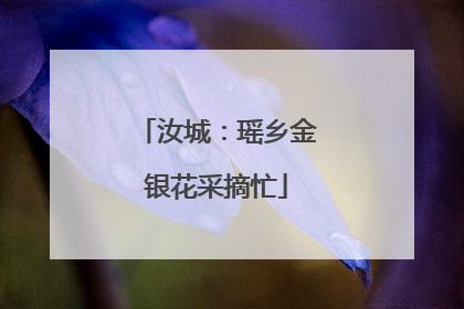 汝城：瑶乡金银花采摘忙