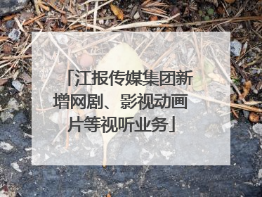 江报传媒集团新增网剧、影视动画片等视听业务