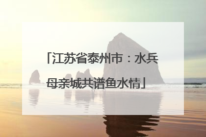 江苏省泰州市：水兵母亲城共谱鱼水情