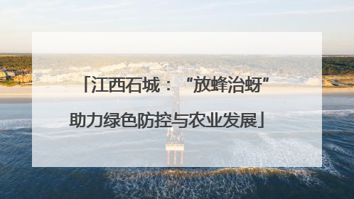 江西石城：“放蜂治蚜”助力绿色防控与农业发展
