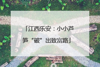 江西乐安：小小芦笋“破”出致富路