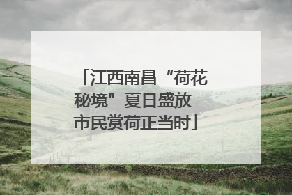 江西南昌“荷花秘境”夏日盛放 市民赏荷正当时