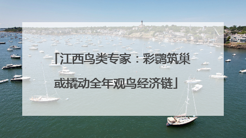 江西鸟类专家：彩鹮筑巢或撬动全年观鸟经济链