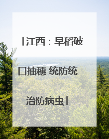 江西：早稻破口抽穗 统防统治防病虫