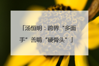 汤恒明：跨界“多面手”善啃“硬骨头”
