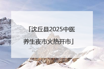 沈丘县2025中医养生夜市火热开市