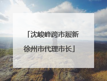 沈峻峰跨市履新徐州市代理市长
