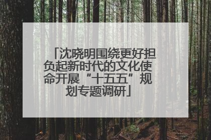 沈晓明围绕更好担负起新时代的文化使命开展“十五五”规划专题调研