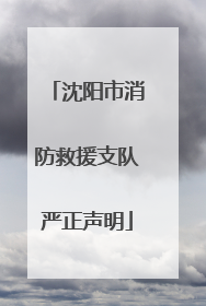 沈阳市消防救援支队严正声明