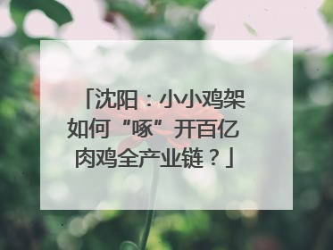 沈阳：小小鸡架如何“啄”开百亿肉鸡全产业链？