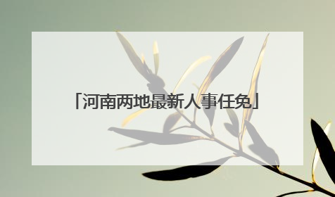 河南两地最新人事任免