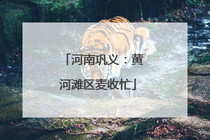 河南巩义：黄河滩区麦收忙