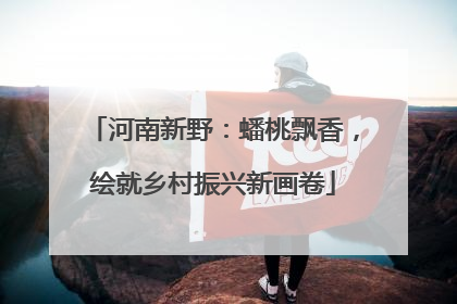河南新野：蟠桃飘香，绘就乡村振兴新画卷