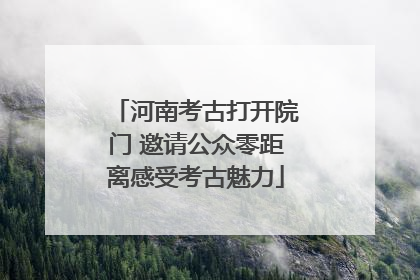 河南考古打开院门 邀请公众零距离感受考古魅力