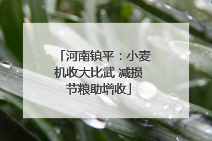 河南镇平：小麦机收大比武 减损节粮助增收