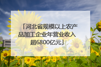河北省规模以上农产品加工企业年营业收入超6800亿元