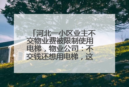 河北一小区业主不交物业费被限制使用电梯，物业公司：不交钱还想用电梯，这钱谁出？