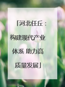 河北任丘：构建现代产业体系 助力高质量发展