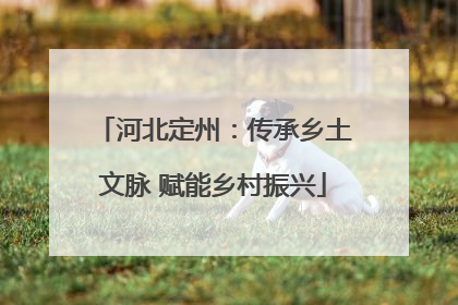 河北定州：传承乡土文脉 赋能乡村振兴