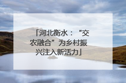 河北衡水：“交农融合”为乡村振兴注入新活力
