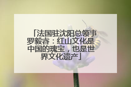 法国驻沈阳总领事罗毅睿：红山文化是中国的瑰宝，也是世界文化遗产