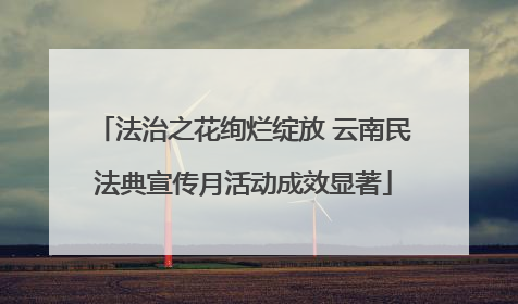 法治之花绚烂绽放 云南民法典宣传月活动成效显著