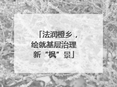 法润橙乡，绘就基层治理新“枫”景