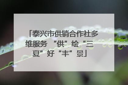 泰兴市供销合作社多维服务 “供”绘“三夏”好“丰”景