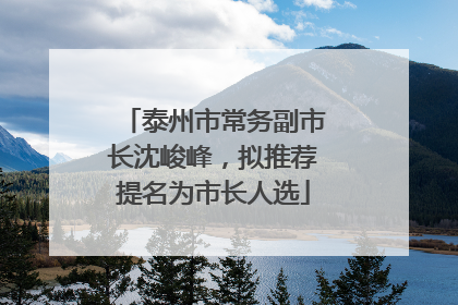 泰州市常务副市长沈峻峰，拟推荐提名为市长人选