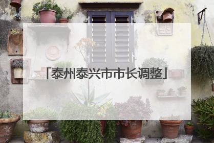 泰州泰兴市市长调整
