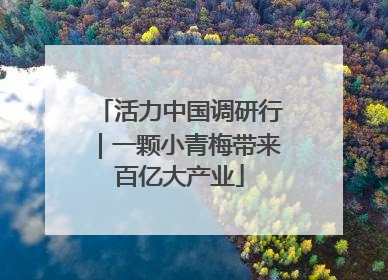 活力中国调研行｜一颗小青梅带来百亿大产业