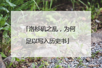 洛杉矶之乱，为何足以写入历史书