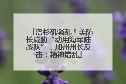 洛杉矶骚乱！美防长威胁“动用海军陆战队”，加州州长反击：精神错乱