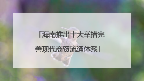 海南推出十大举措完善现代商贸流通体系