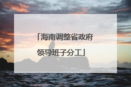 海南调整省政府领导班子分工
